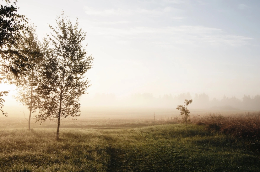 beautiful-scenery-of-foggy