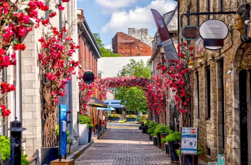 old montreal