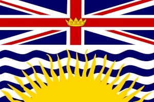 Toronto Flag