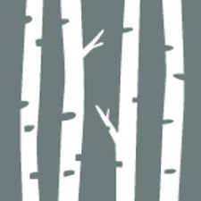 Northern Birch Credit Union
